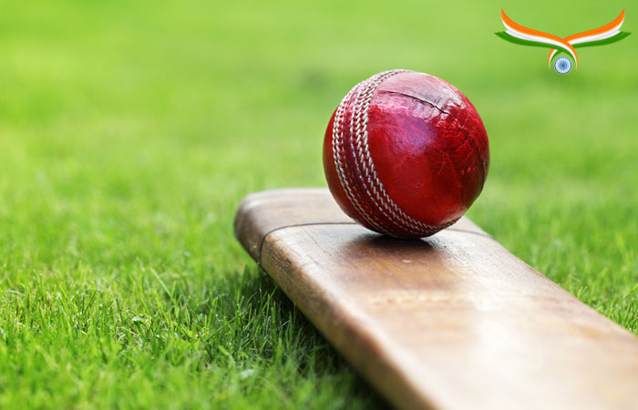 1Win Cricket and Kabaddi Betting